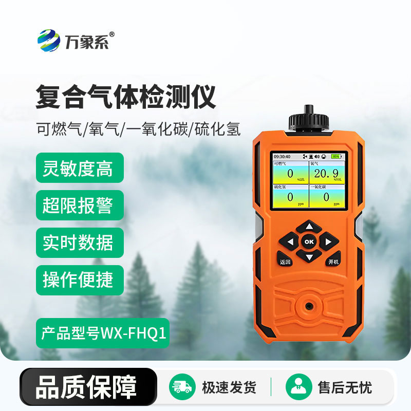復(fù)合氣體檢測儀